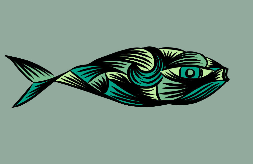 Female Fish Teal Black Digital Drawing