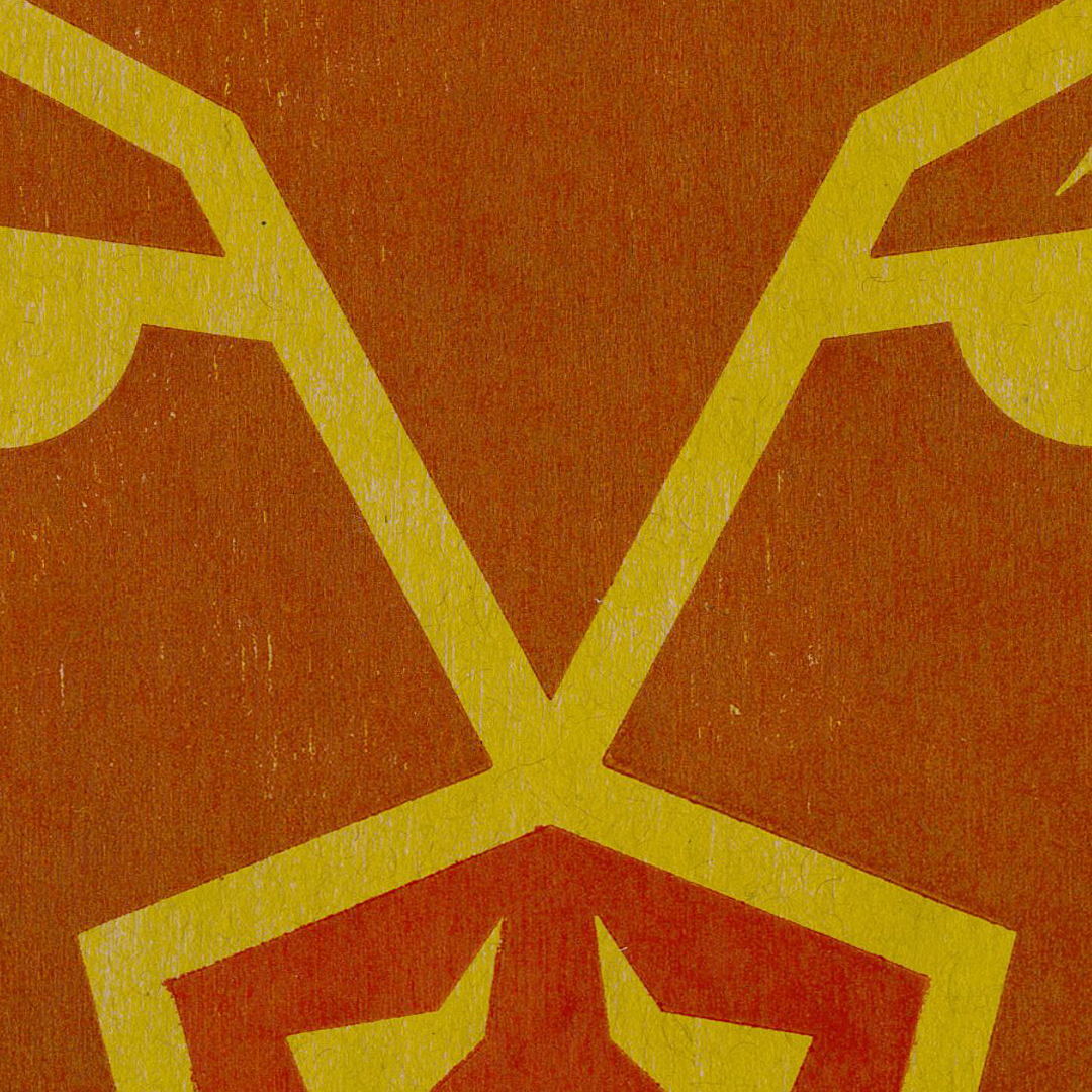 Flint Hills Bison Detail