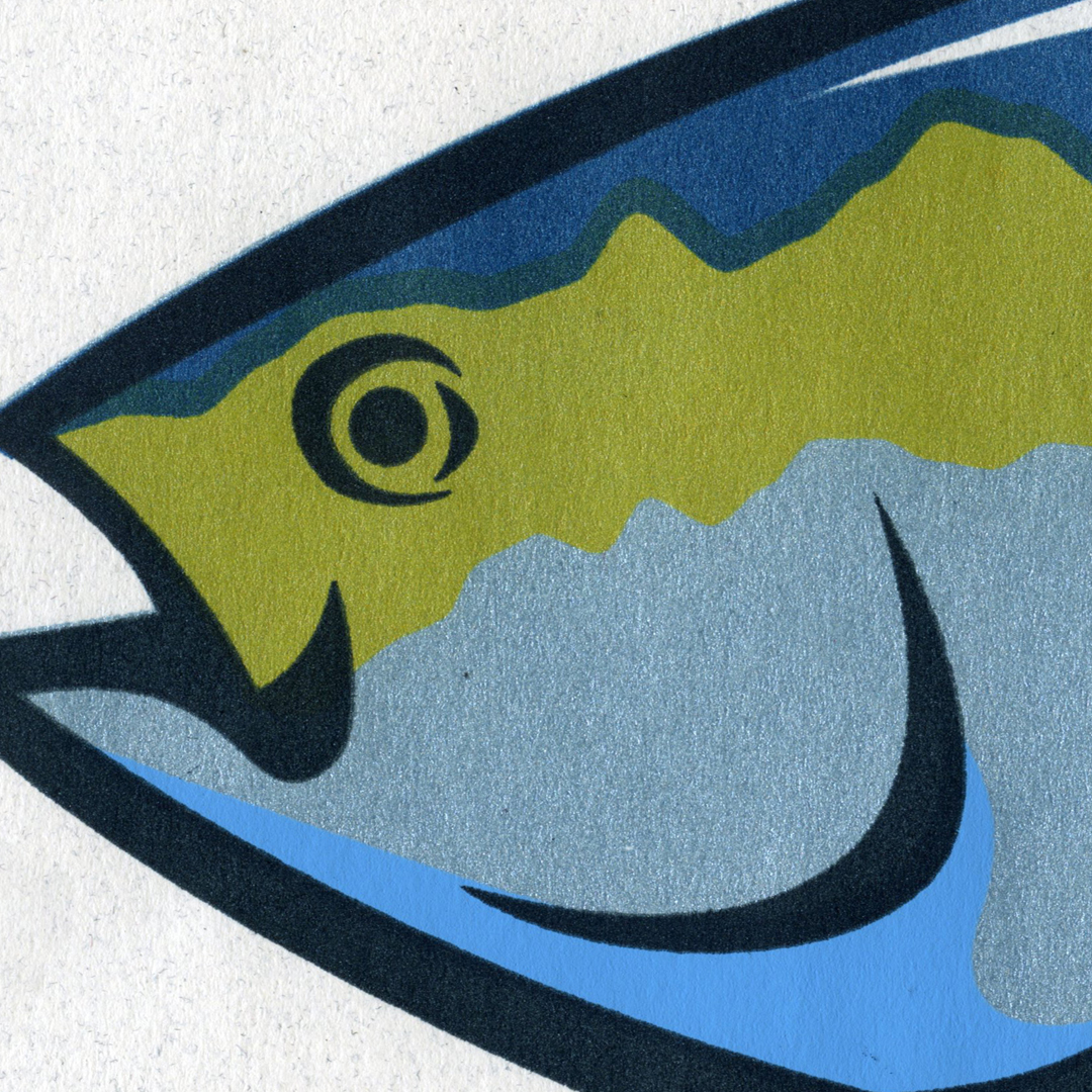 Blue Fin Tuna Detail