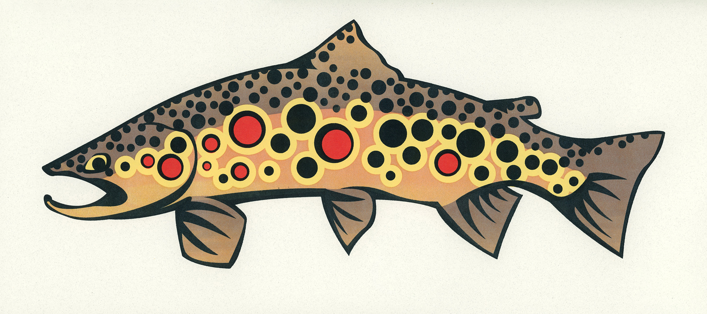 Brown Trout 25 web