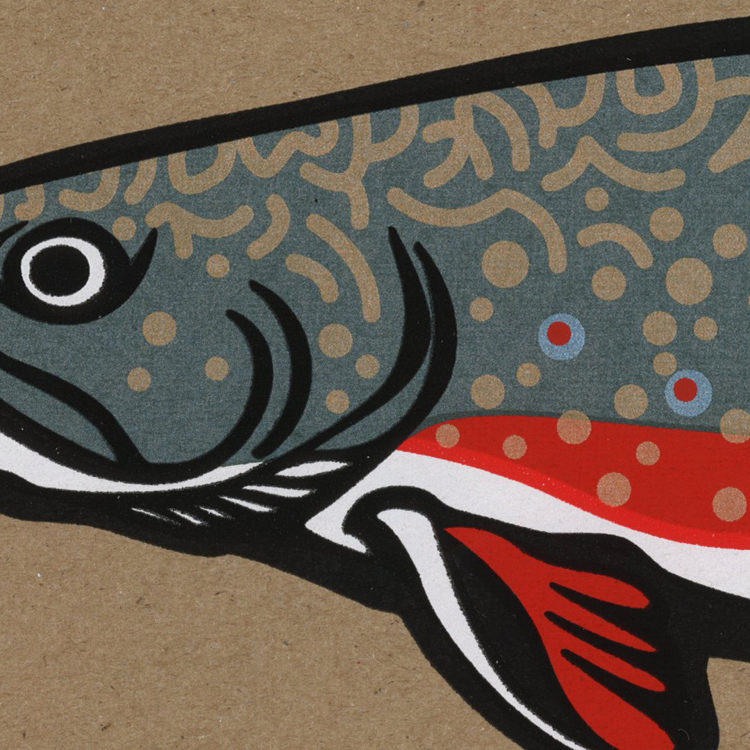 Brook Trout Detail
