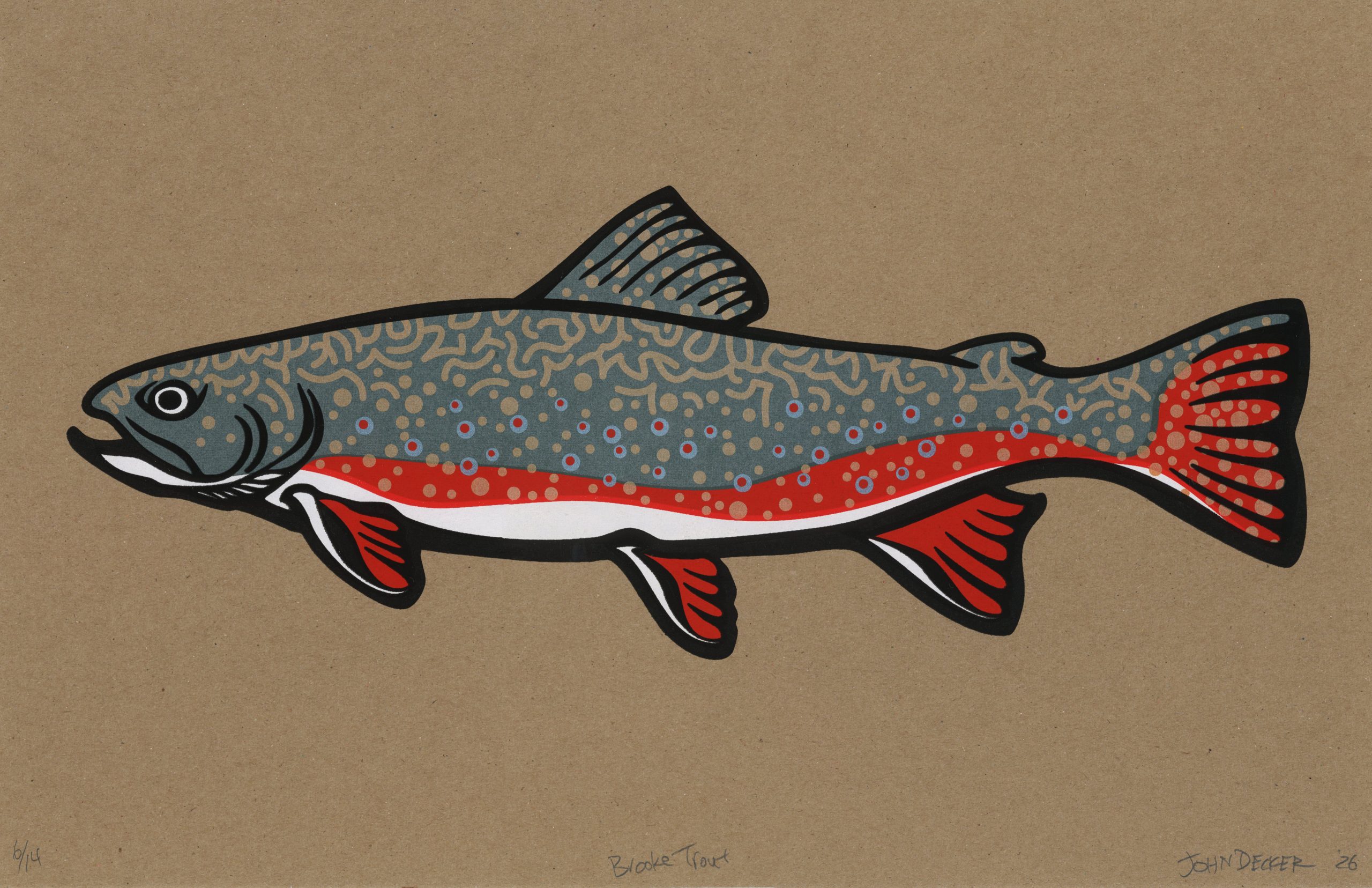 Brook Trout Final