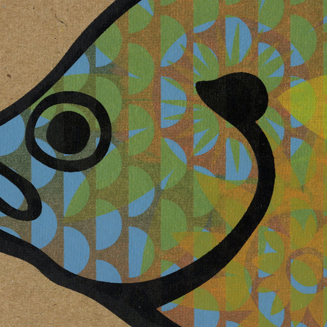 Green Sunfish Detail | 2026