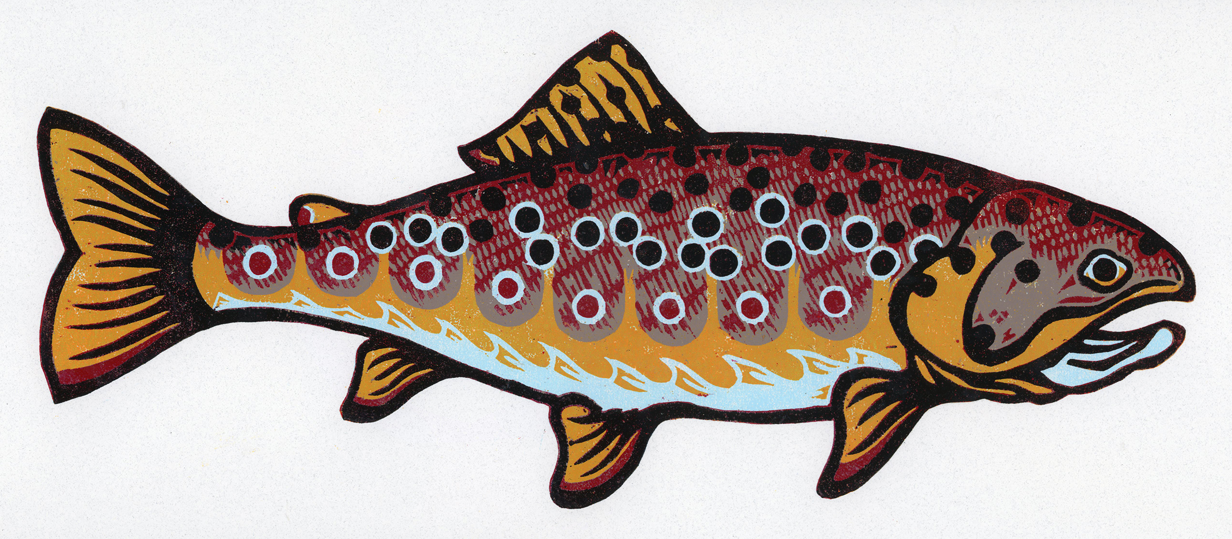 Brown Trout VC SU26 web