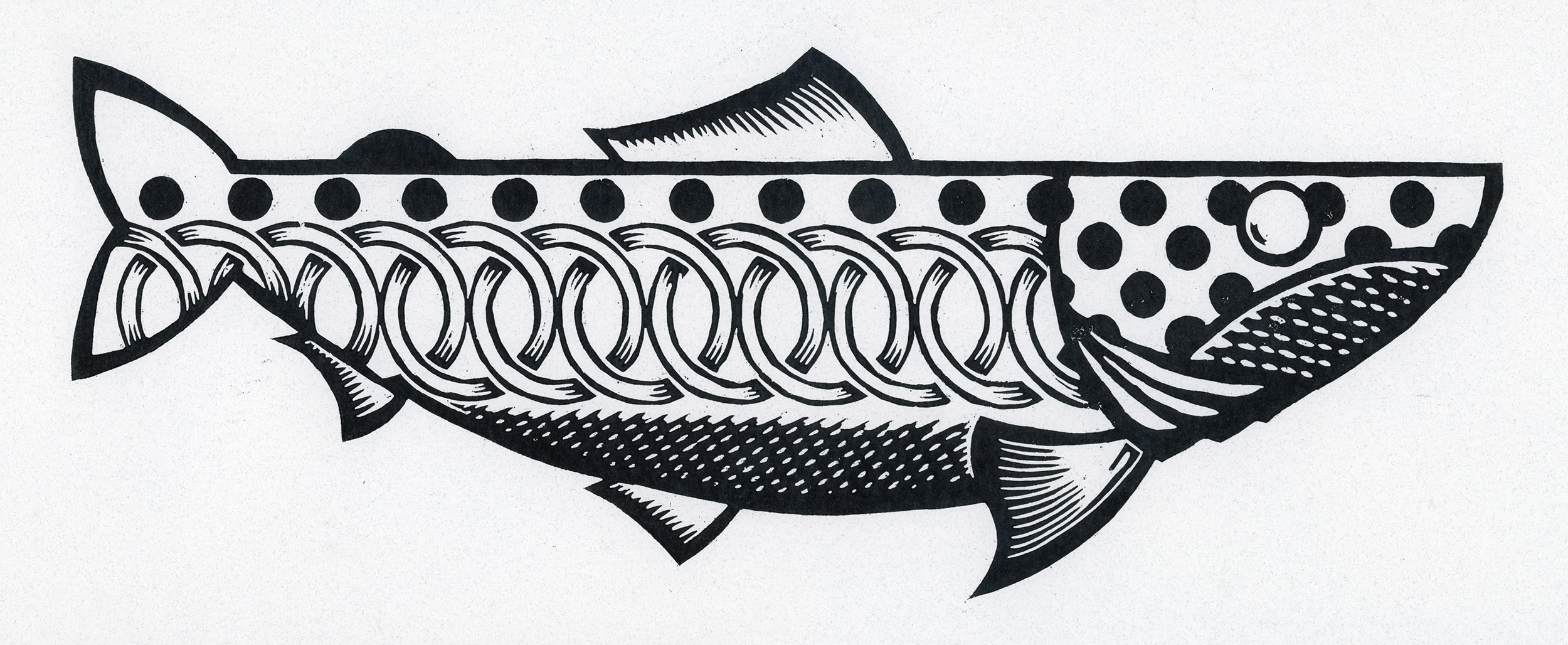 Group Geo Fish VC SU26 web