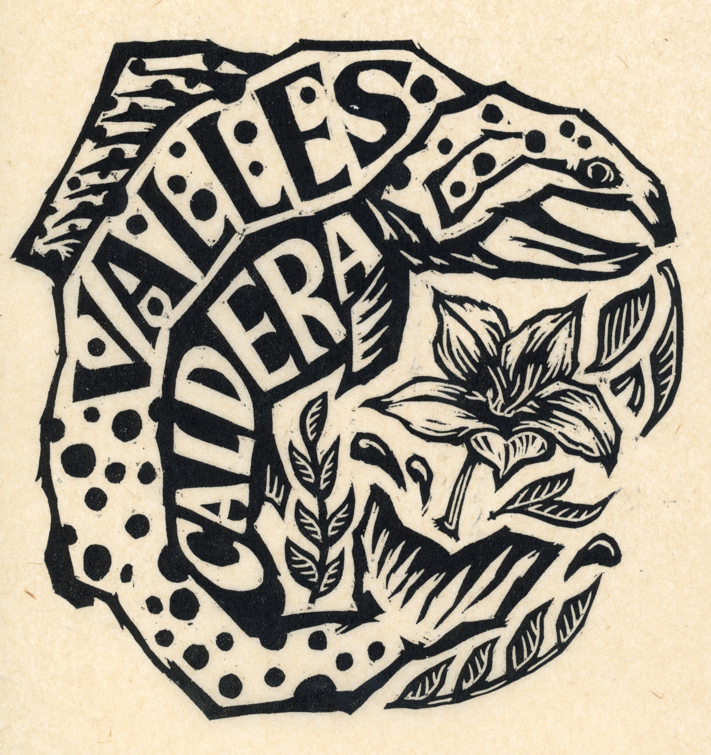 Valles Caldera Brown Trout SU26