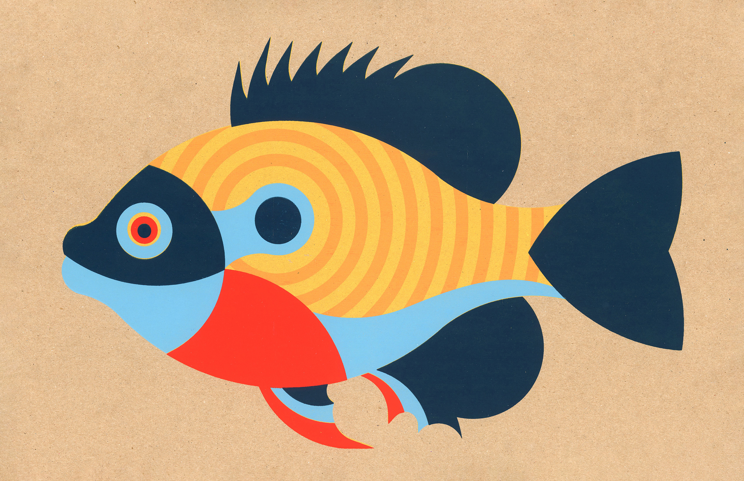 Geometric Sunfish v1 WEB FA26