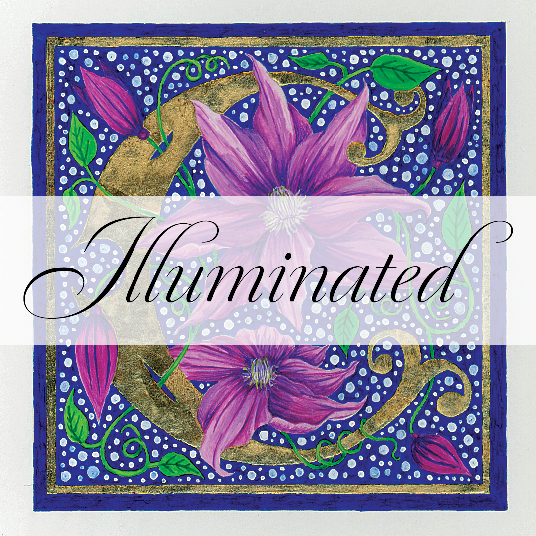 Illuminated Cotty College Web Thumbnail copy