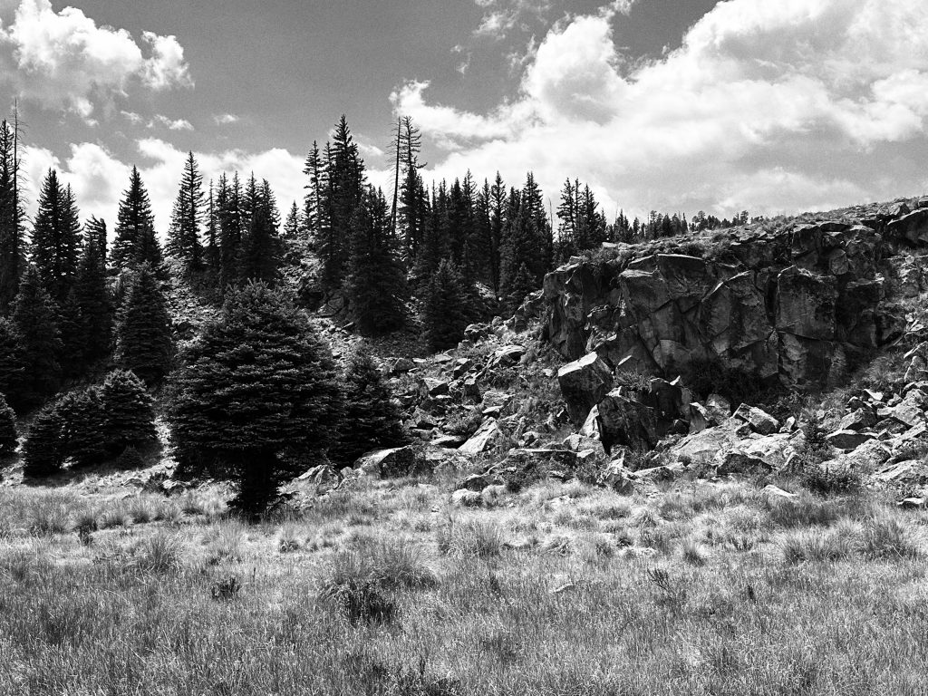 VC Landscape BW new