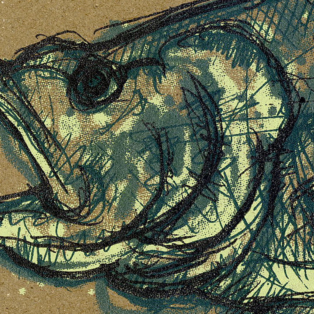 Largemouth Bass Detail